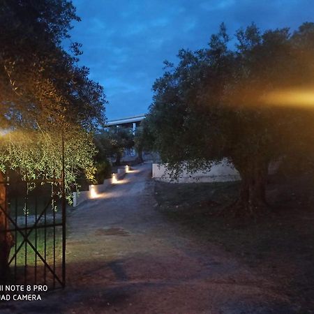 Helios & Elia Family Apartment Liapades Dış mekan fotoğraf