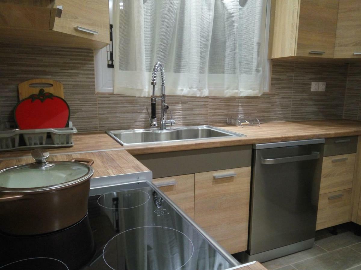 Helios & Elia Family Apartment Liapades Dış mekan fotoğraf