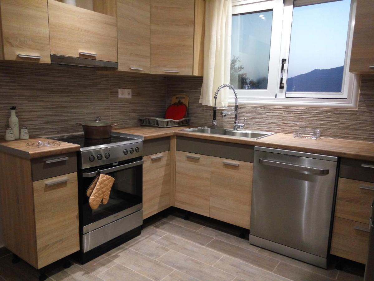 Helios & Elia Family Apartment Liapades Dış mekan fotoğraf